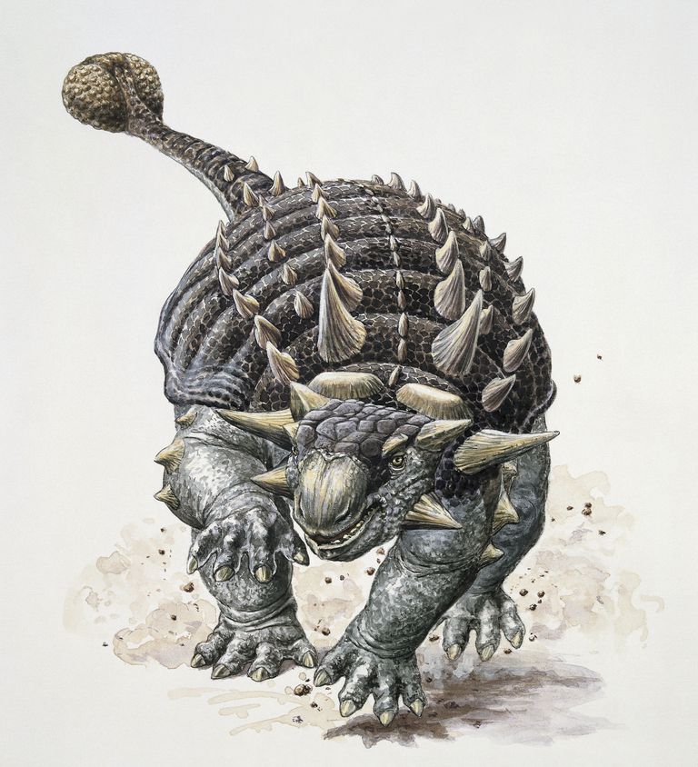 march of the ankylosaurus rex stone