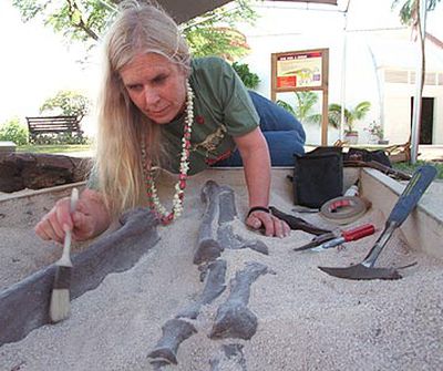 susan hendrickson t rex