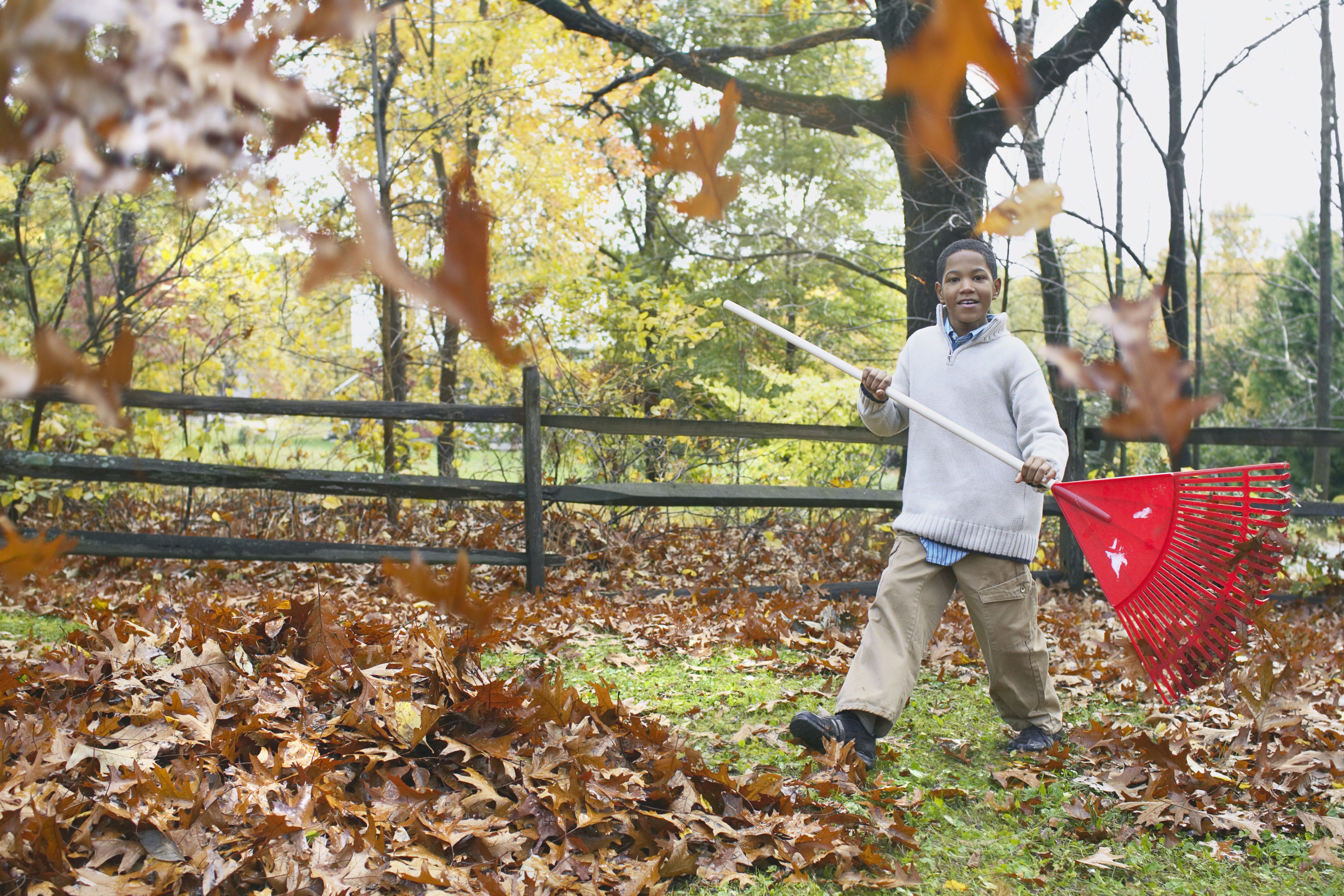 Age-Appropriate Paying Jobs for 11-Year-Olds