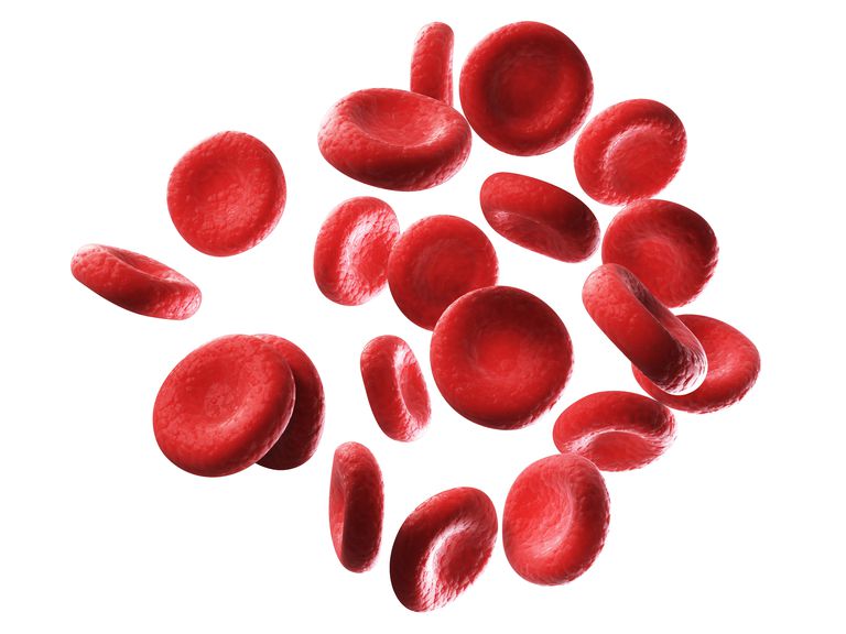 Polycythemia: Can You Have Too Many Red Blood Cells?