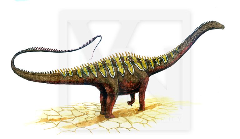 diplodocus with spikes