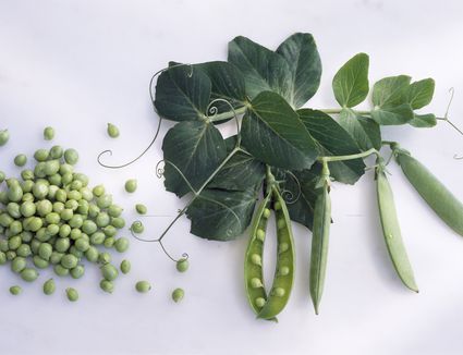 Sauteed Pea Greens - Recipe
