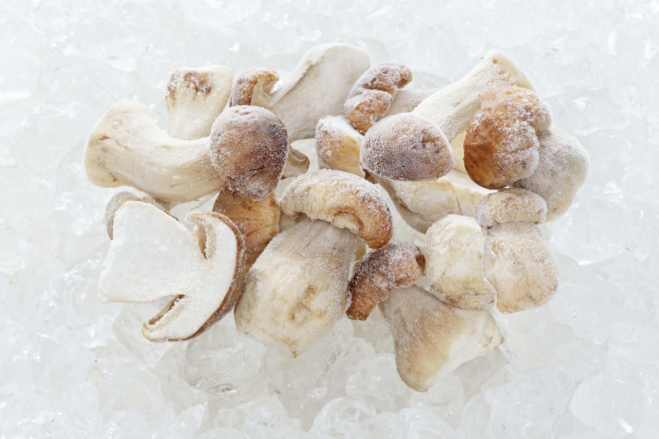 How To Freeze And Preserve Mushrooms   162759037 56a30df33df78cf7727b9e76 