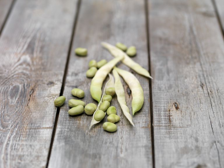 Luscious Legumes To Add To Your Diet   Still Life Of Lima Beans  Also Known As Butter Beans  On Wooden Table 585288147 5720c2953df78c5640639064 