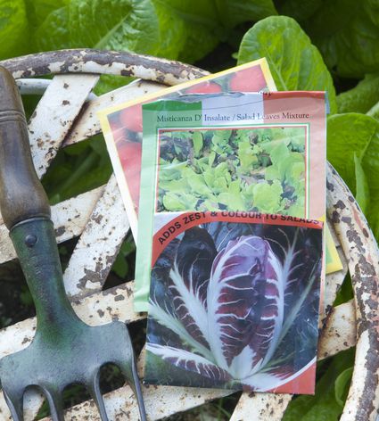 A Guide to Plants and Seed Garden Catalogs