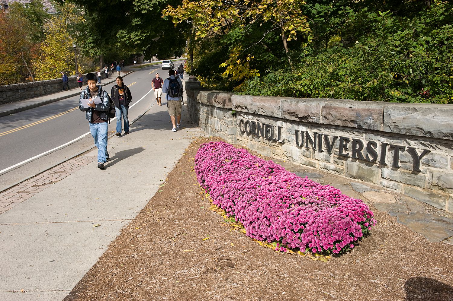 Cornell University SAT Scores, Acceptance Rate, More