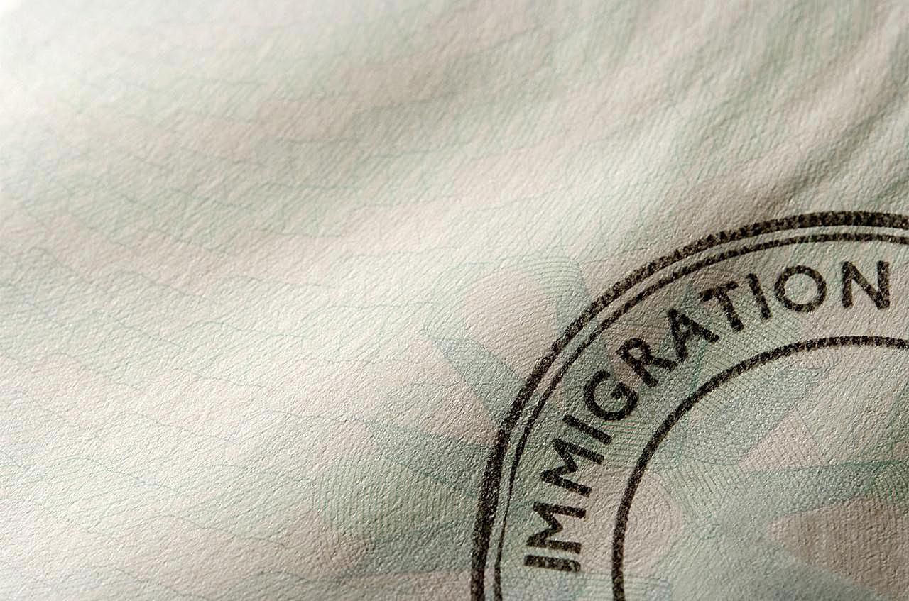 Petitioner Definition In Immigration