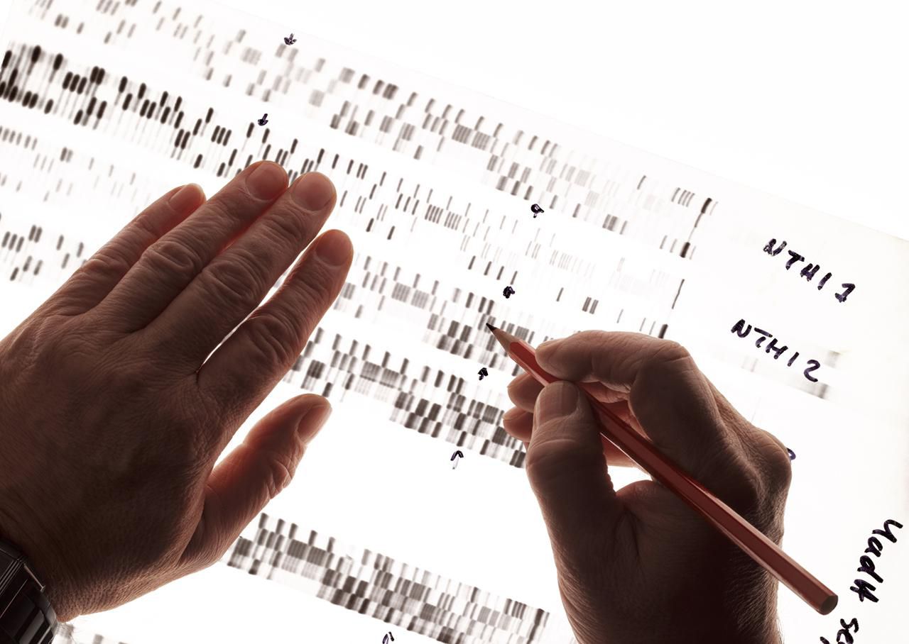 Learn About The Job Of A DNA Analyst