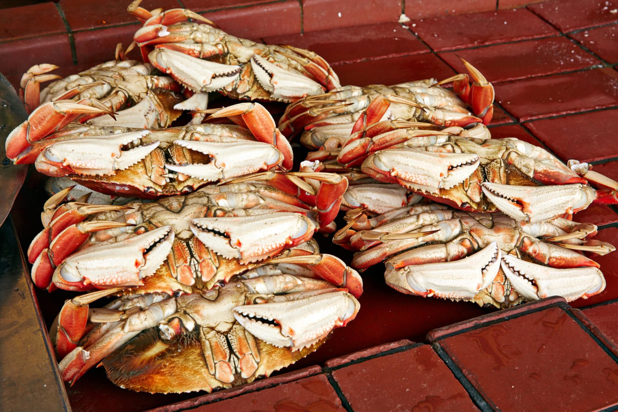 How to Cook and Select Dungeness Crab