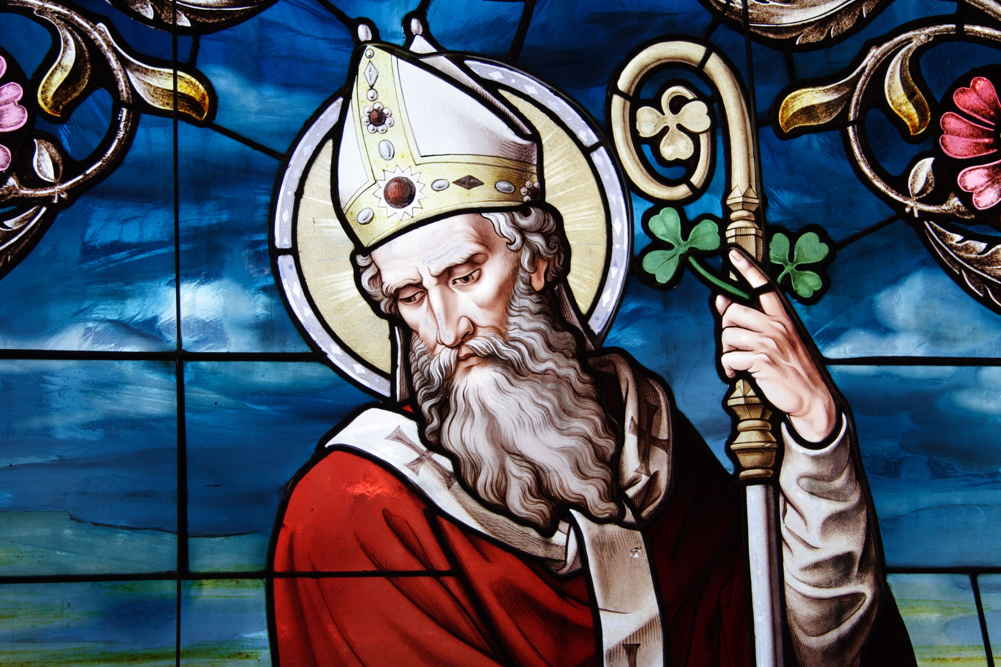Did St Patrick Really Drive Snakes or Paganism Out of Ireland