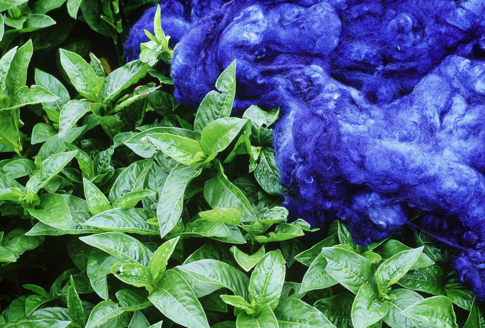 blue indigo dye