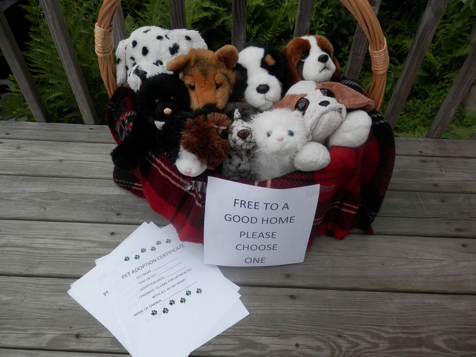 adopt a stuffed dog