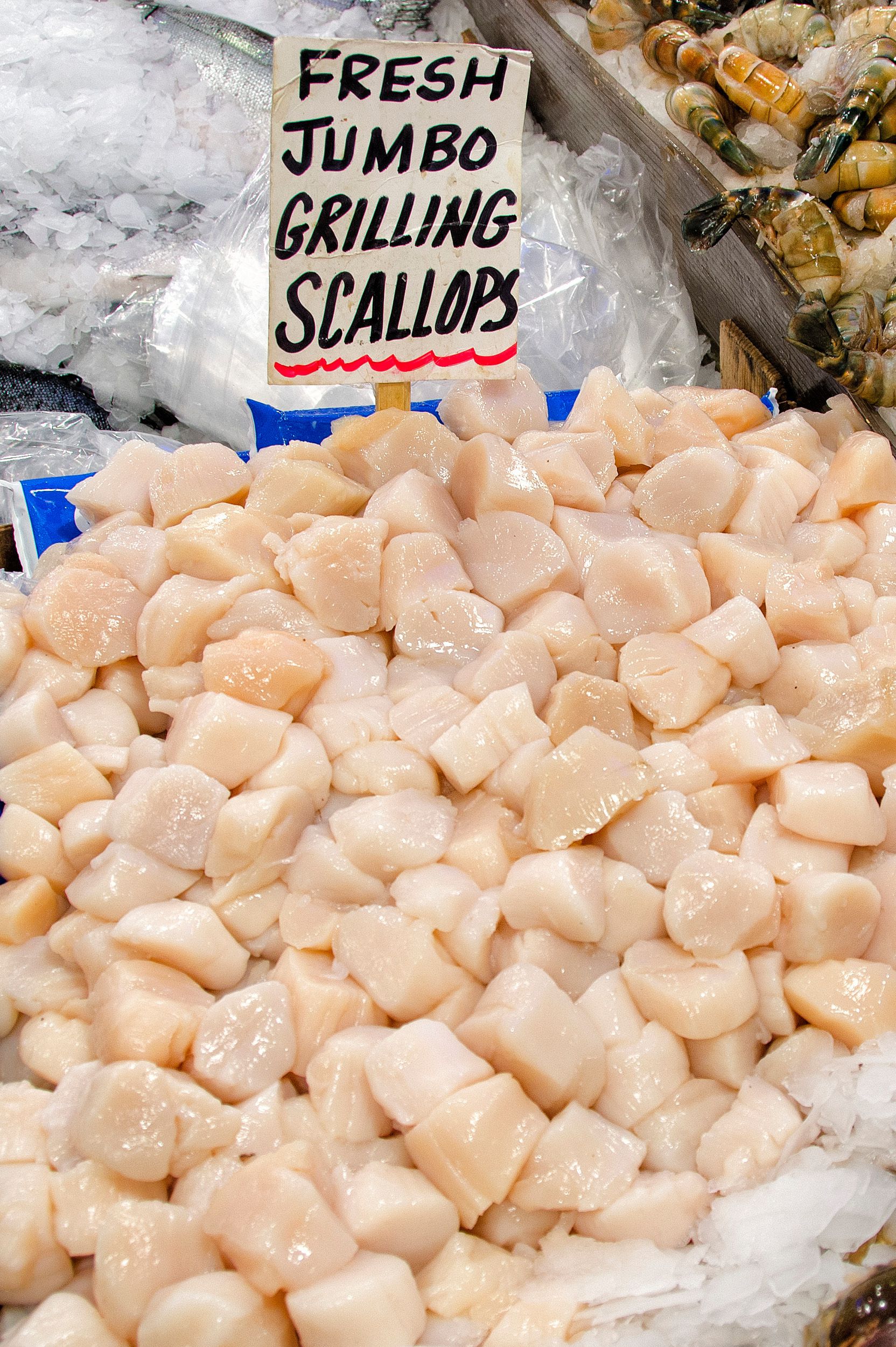 Sea Scallops: Guide to Buying Fresh Scallops