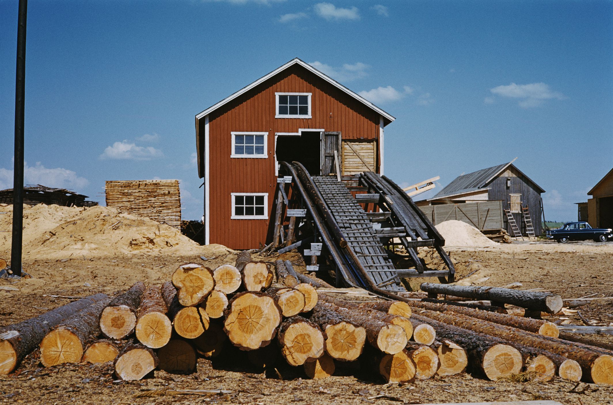 how-many-board-feet-in-a-tree