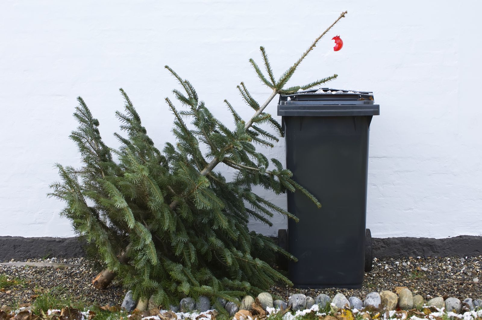 Montreal Christmas Tree Recycling 2018 Dates