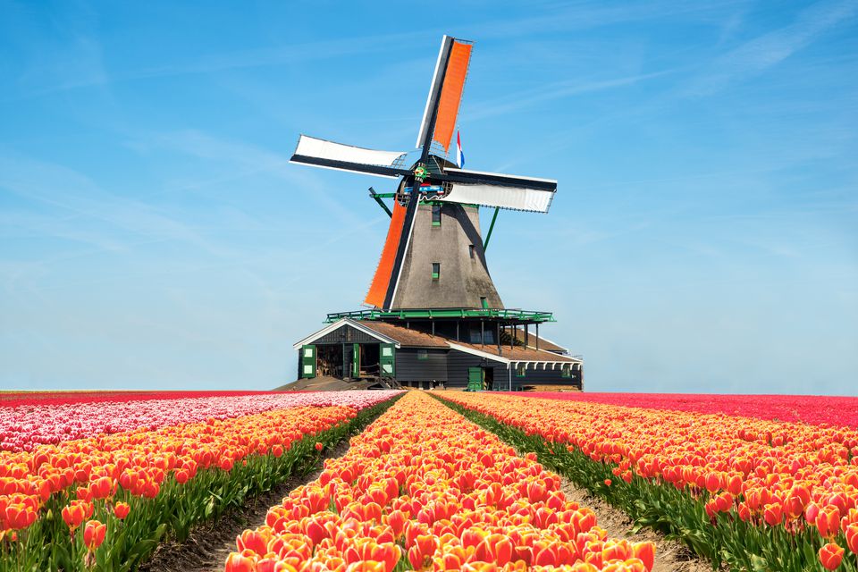 Keukenhof - Netherlands Dutch Flower Gardens
