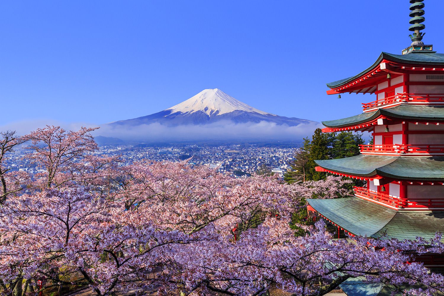 When Is The Best Time For You To Visit Japan 