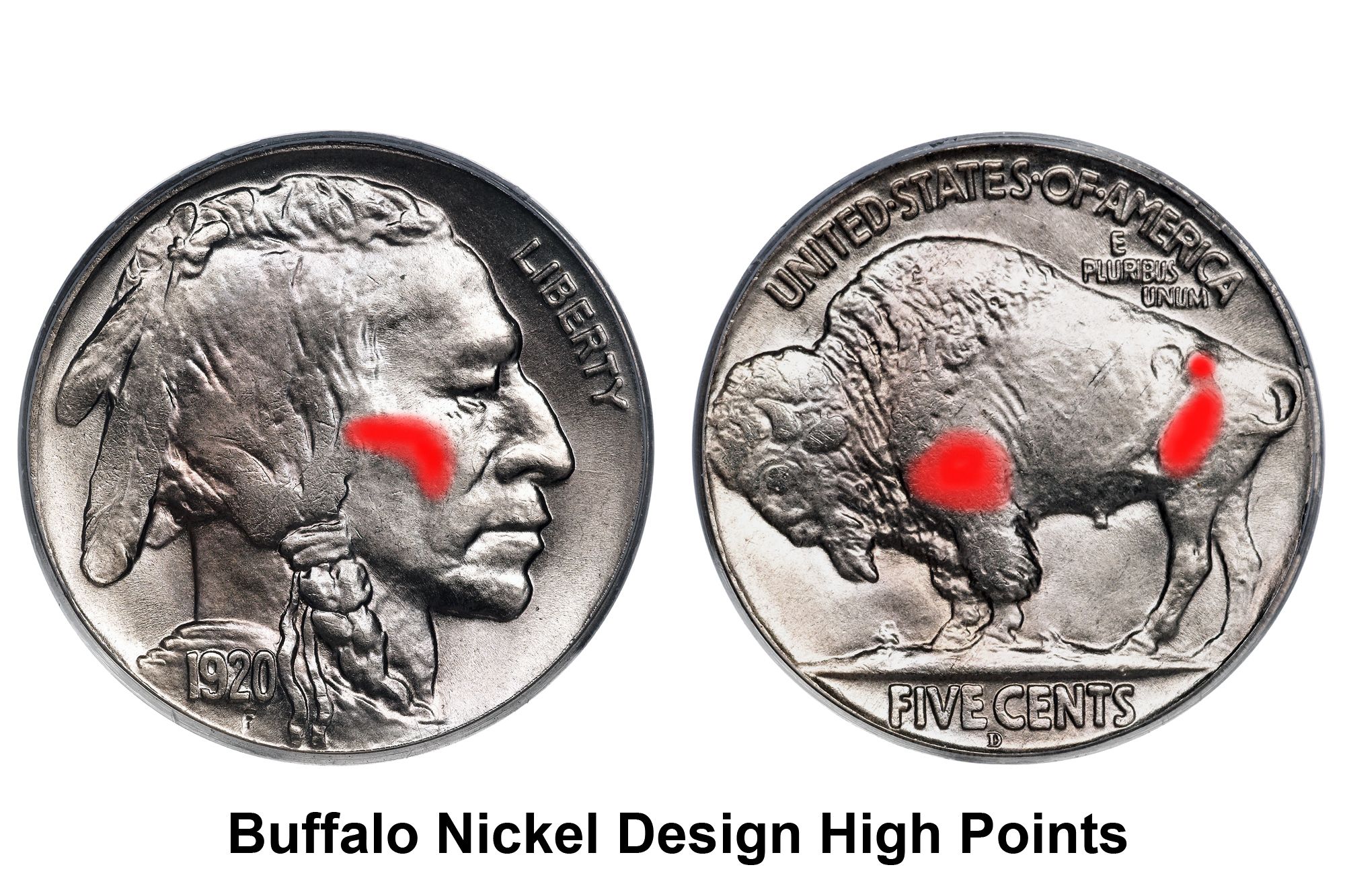 how-to-grade-indian-head-buffalo-nickels