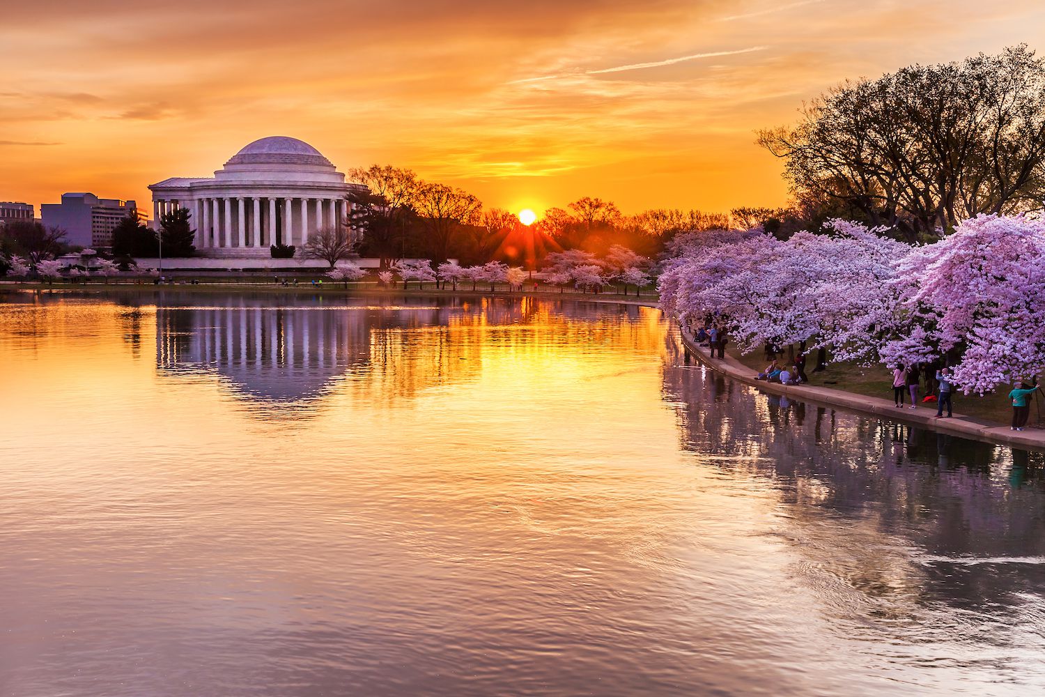 Best 15 Cultural Events and Festivals in Washington DC