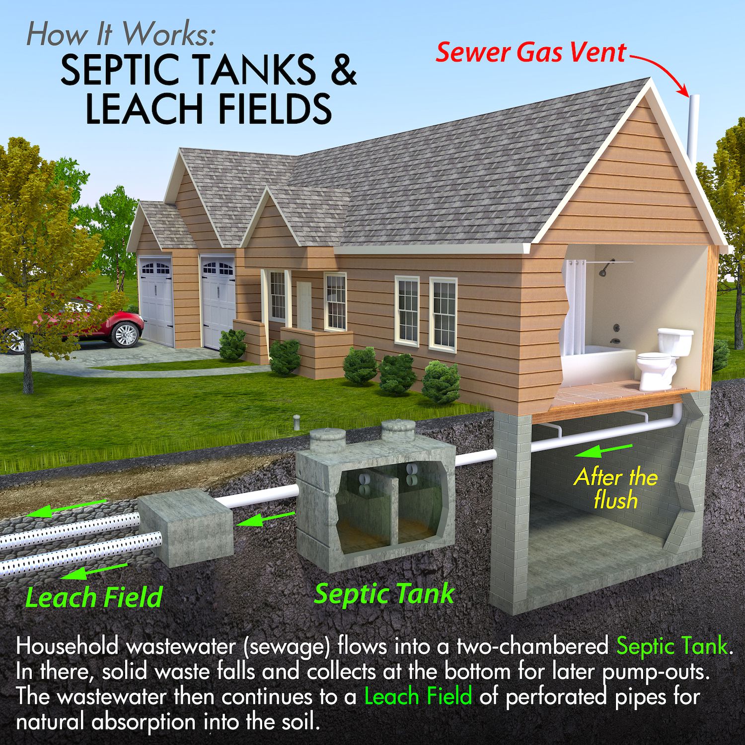 Caring for your drains and your septic tanks