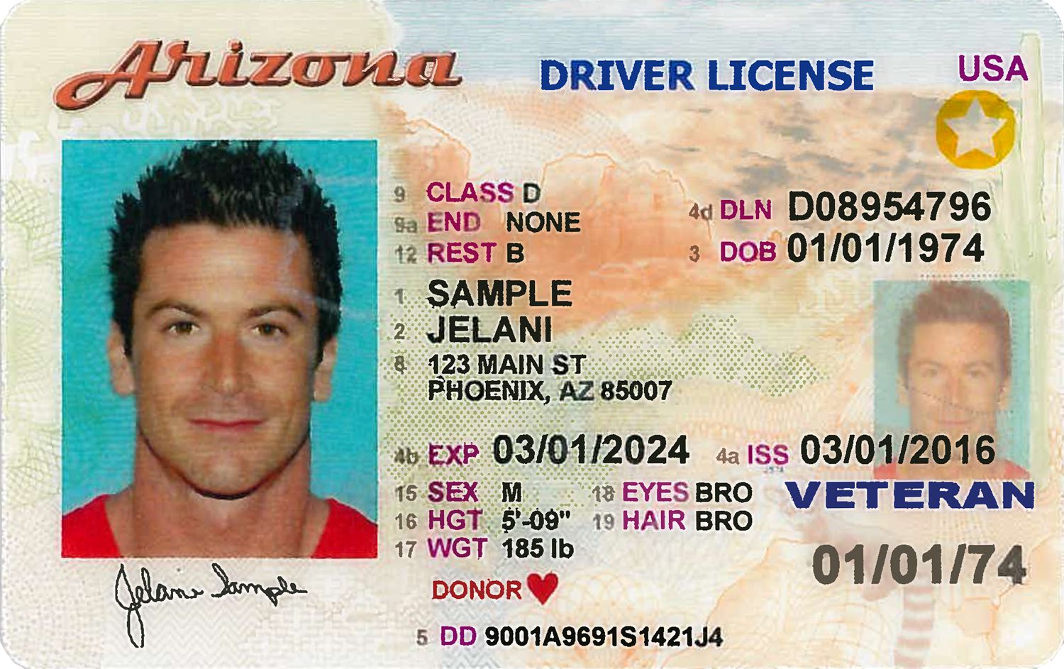 Hole Punched In Wa Drivers License