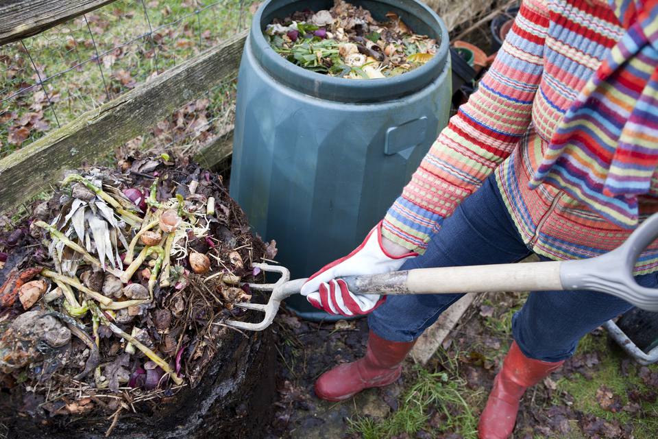 How to Compost Composting Facts