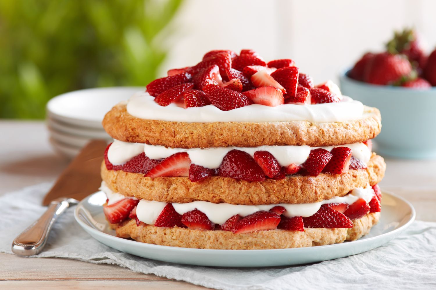 Strawberry Shortcake