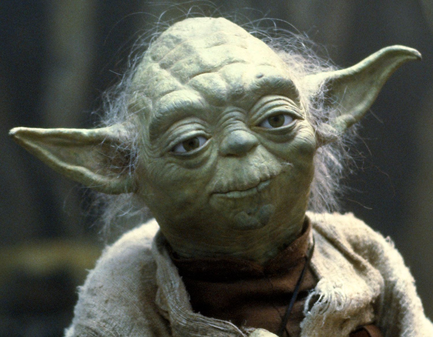 Yoda - Star Wars Character Profile and Biography