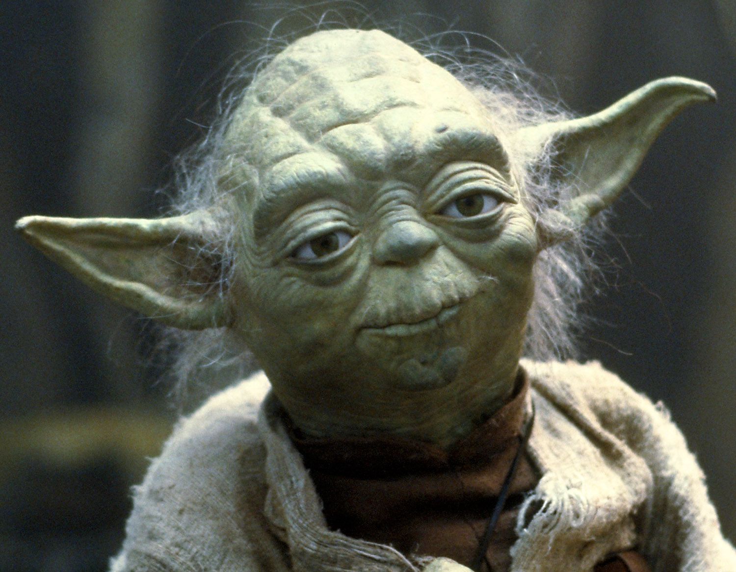 cuutopia yoda