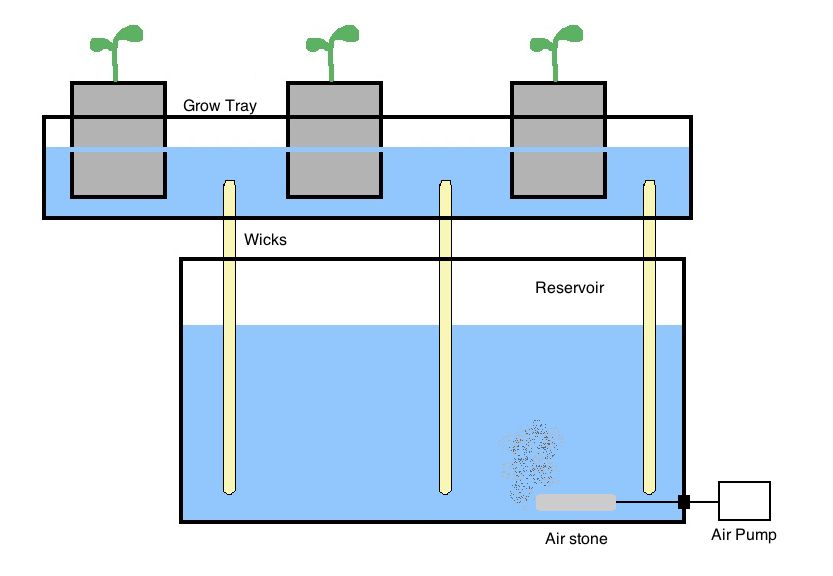 Aquaponics reservoir Aquaponics Market to be worth USD 64.03 billion by 2028 with CAGR of 12.9% during 2022 to 2028 – Global Analysis by Data Bridge Market Research