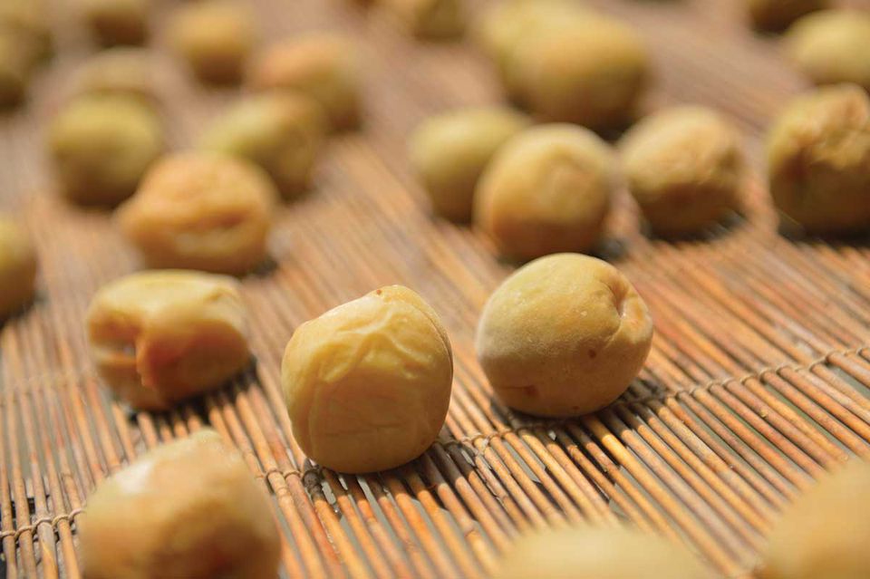 how-to-make-umeboshi-japanese-sour-salted-plums