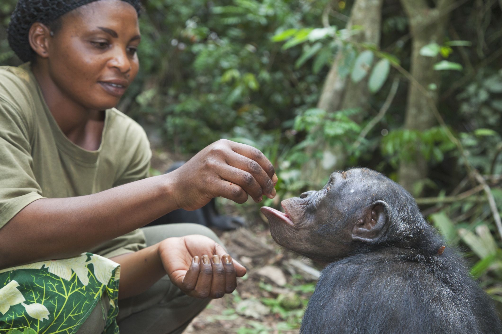 Careers With Animals: Zoo Keeper