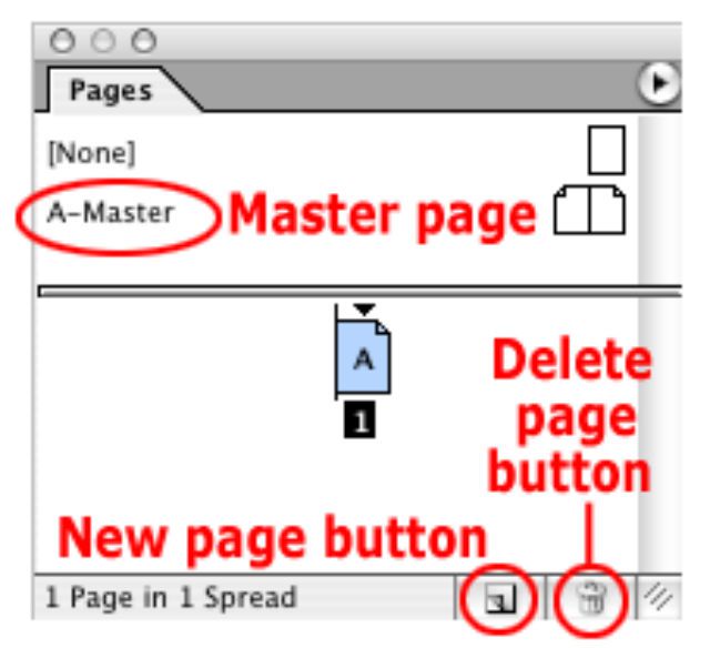 Using Master Pages in Adobe InDesign CS