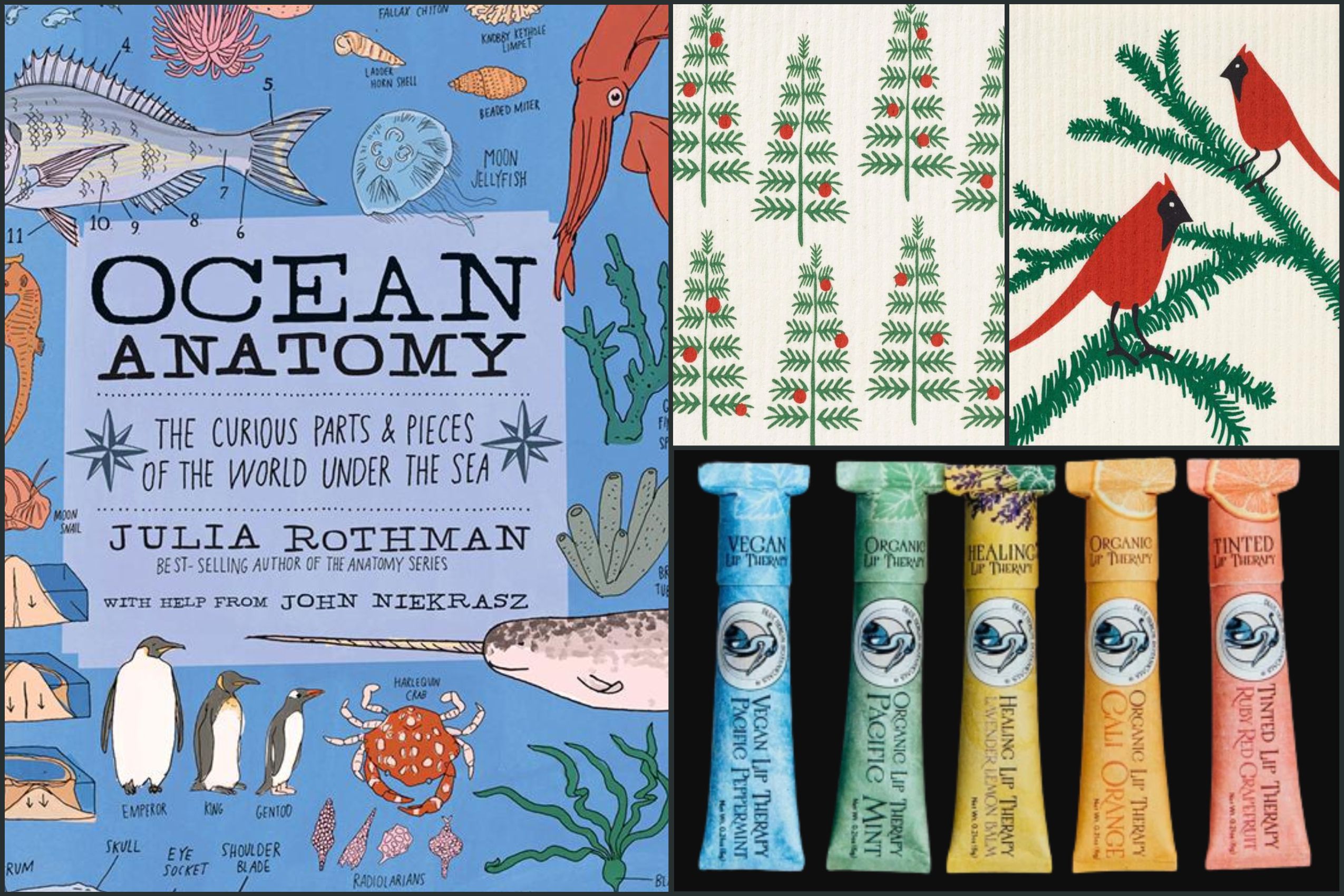 Holiday Gift Picks That Help the Ocean
