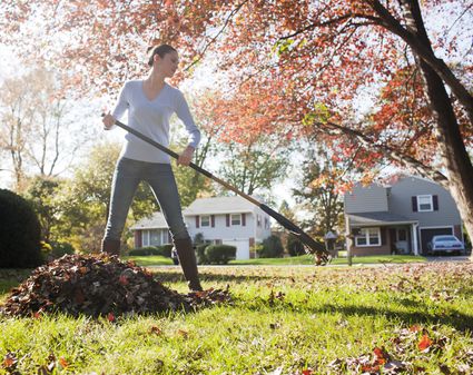 Garden Mulch Types -- When and How to Use Them