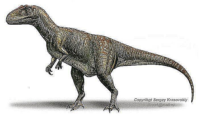carnivorous dinosaur with sail