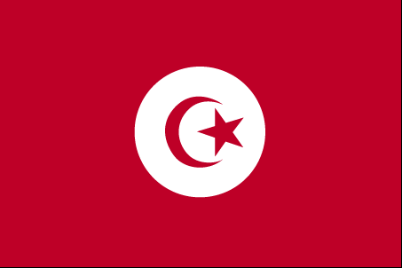 Image result for tunis flag