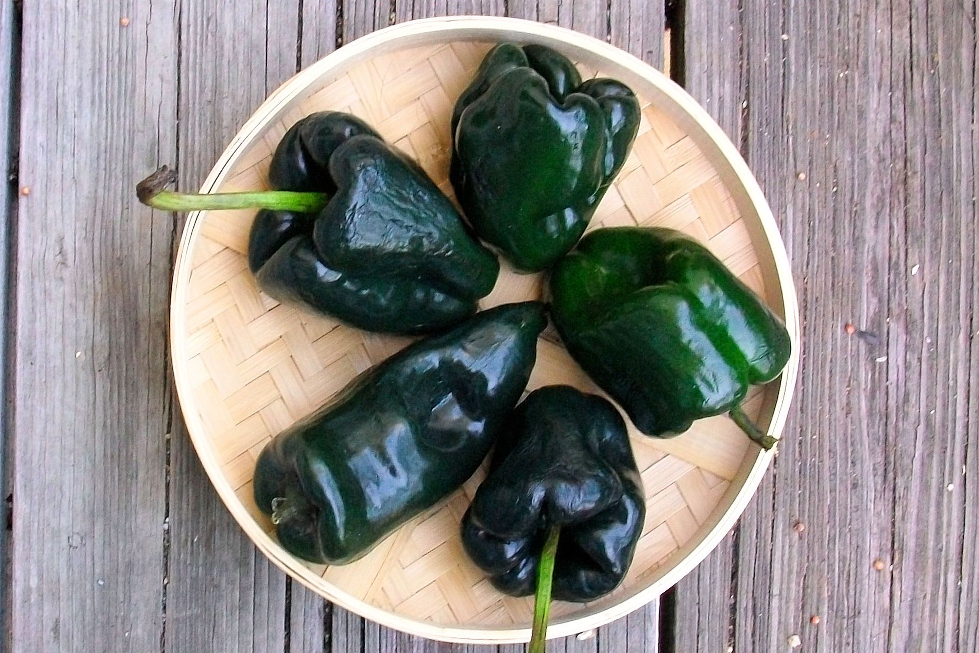 Pasilla Pepper Vs Poblano   Poblano Peppers 5808d3895f9b5805c2cb5773 