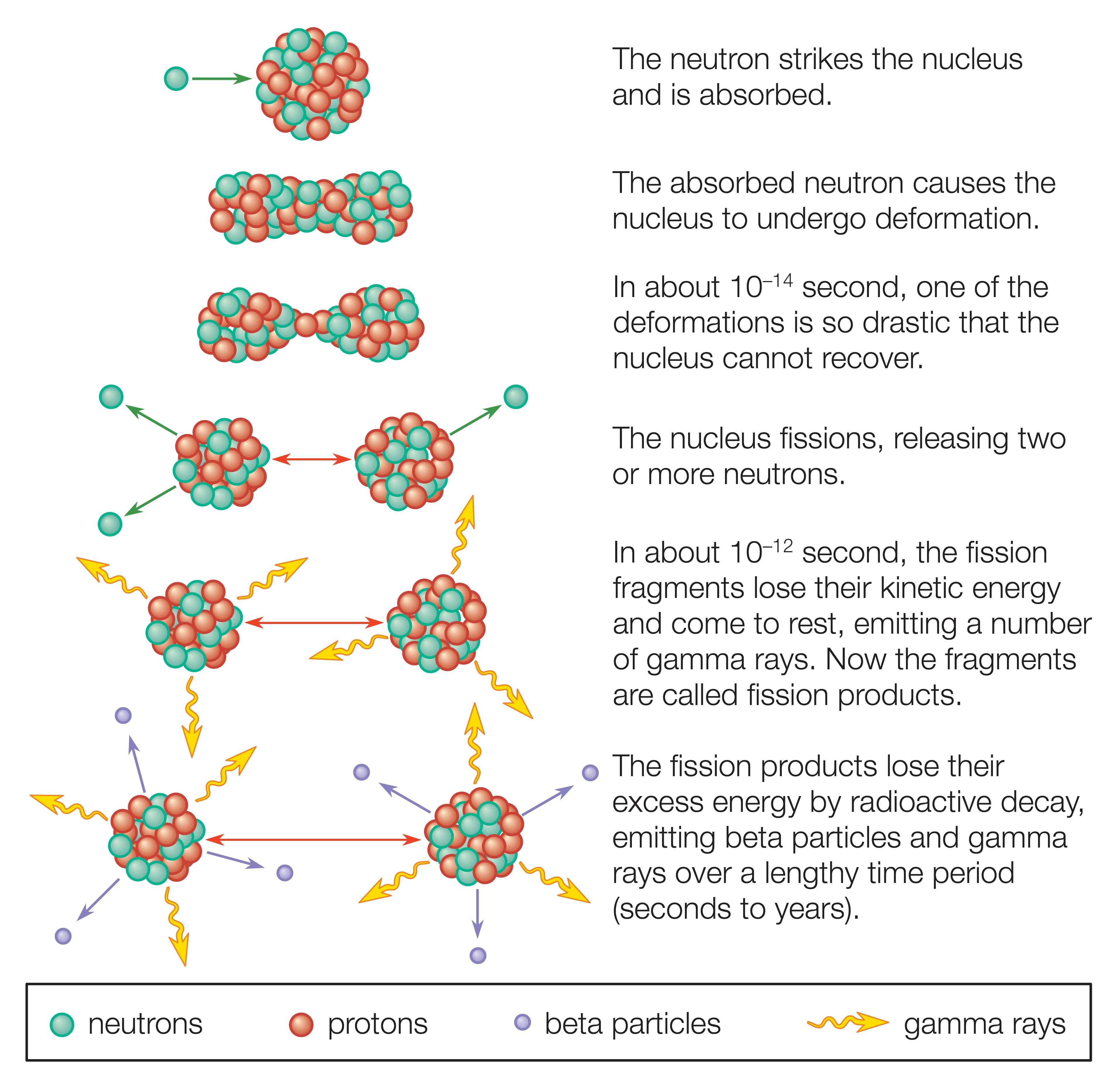 fission and fusion