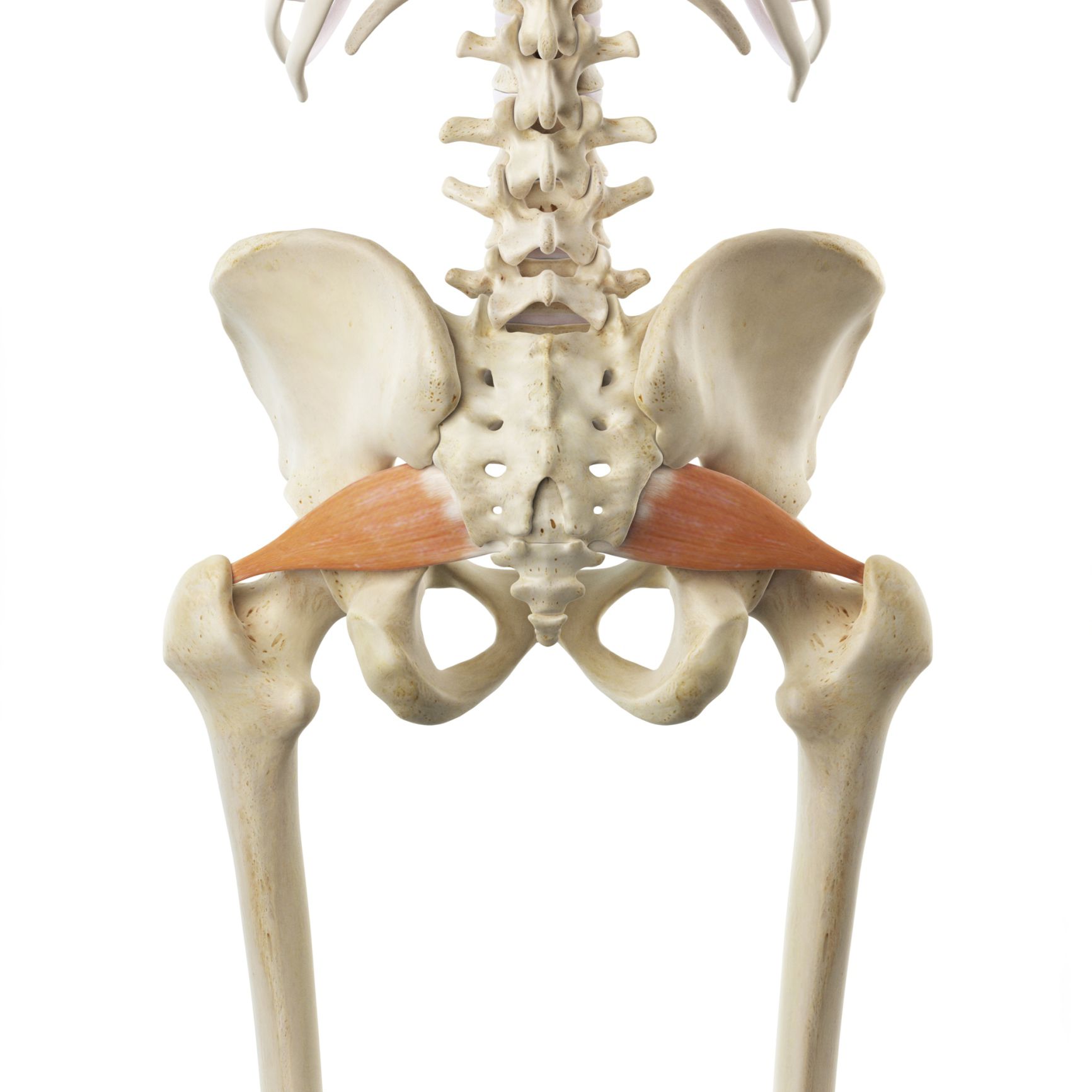 Piriformis Syndrome - Understanding Causes & Treatment