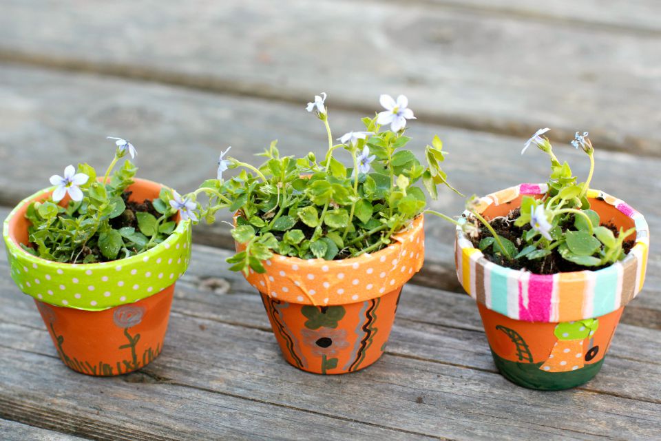 Download DIY Mini Flower Garden Pots