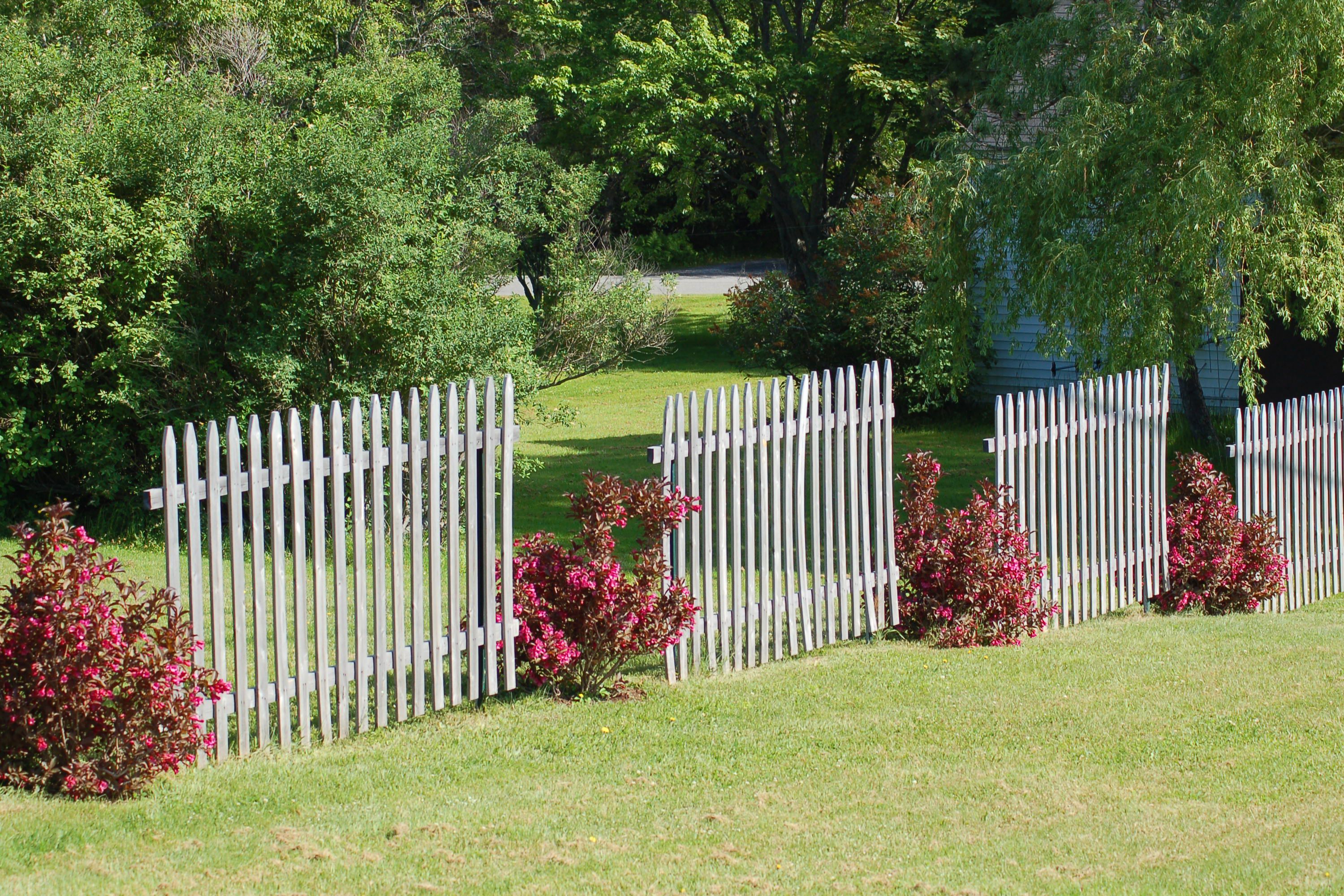 Fence Line Landscaping: Ideas for Creative Homeowners