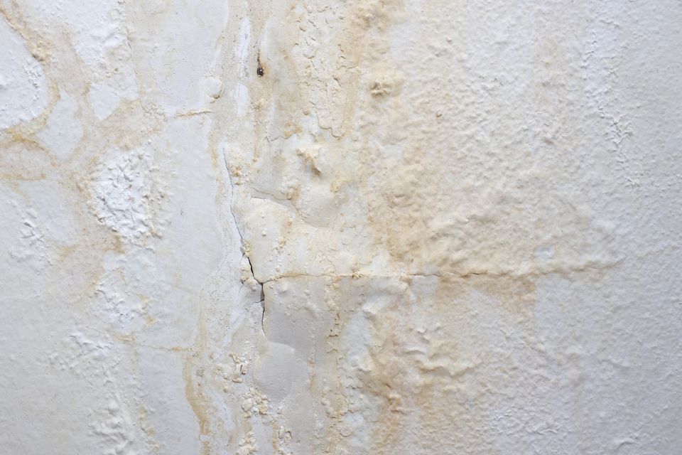 painted wall background  affected by damp  157396323 5991fc3503f4020011aaf572