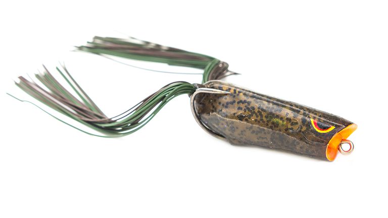 The Best Lures for Bass Fishing 