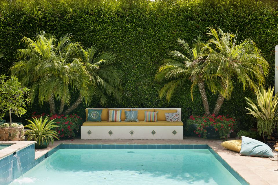 The Best Plants For Pool Landscaping