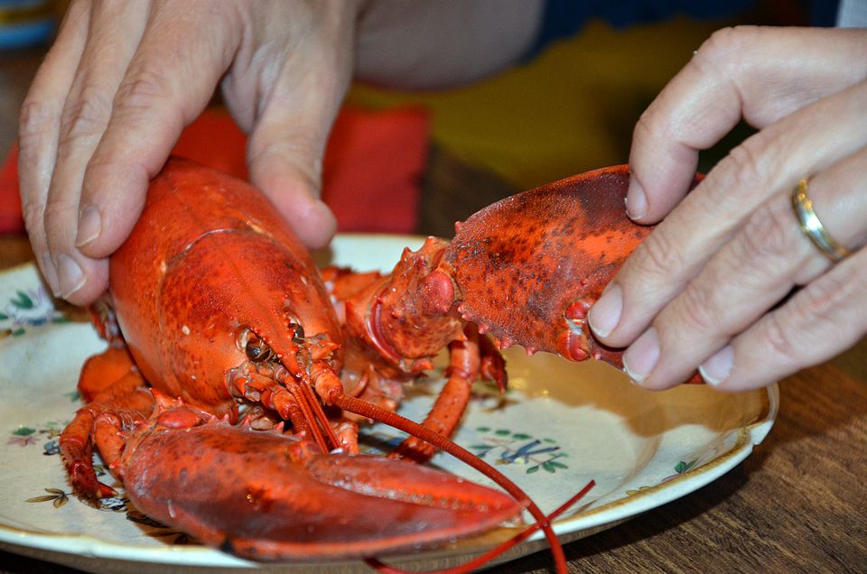 How to Eat Lobster Like a New Englander