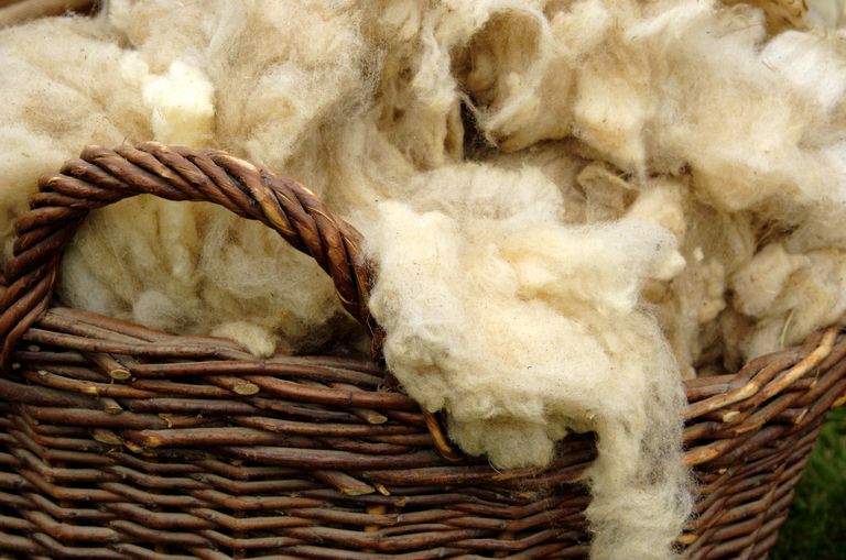 wool-the-common-cloth-of-the-middle-ages