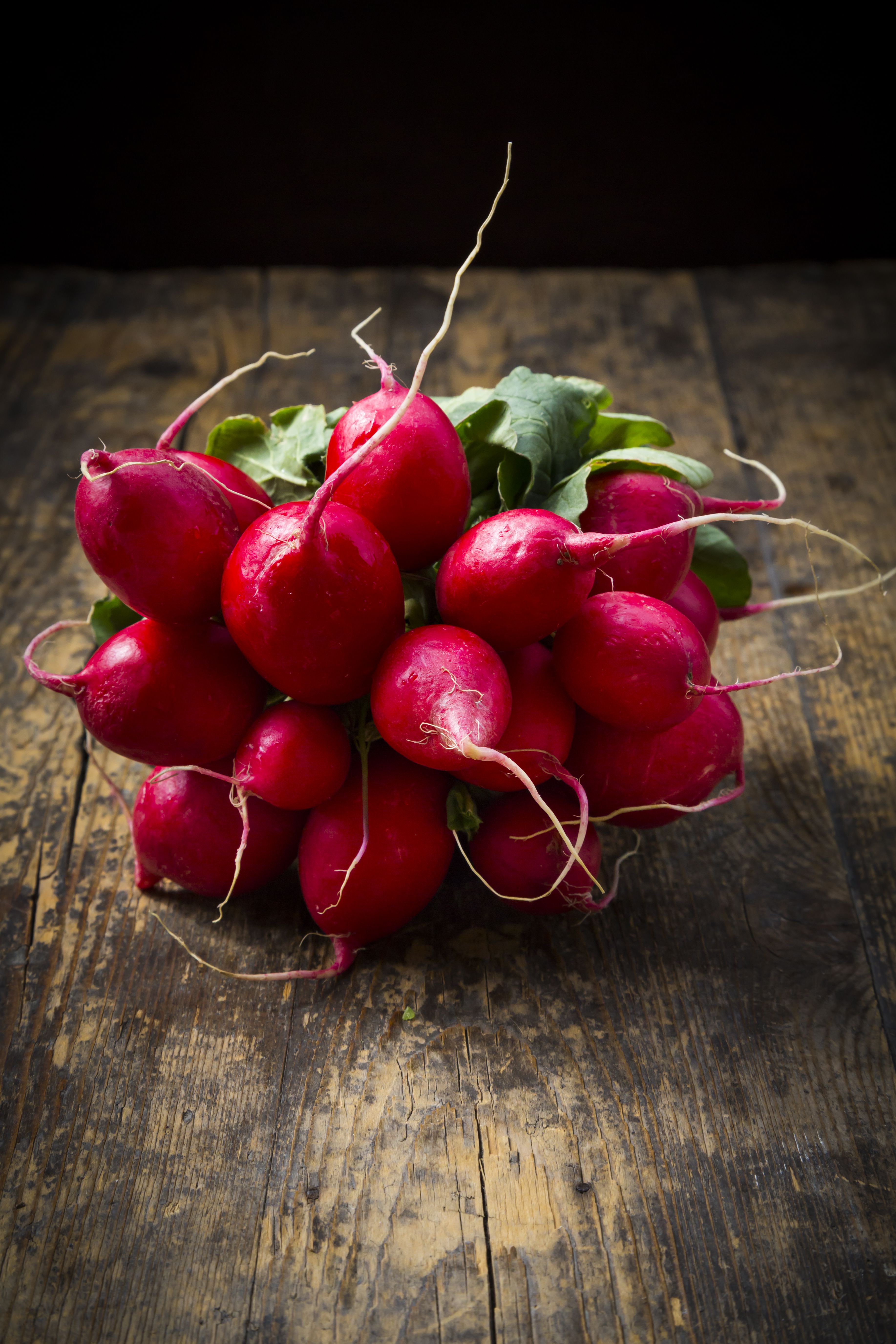 are-radishes-low-in-carbohydrates