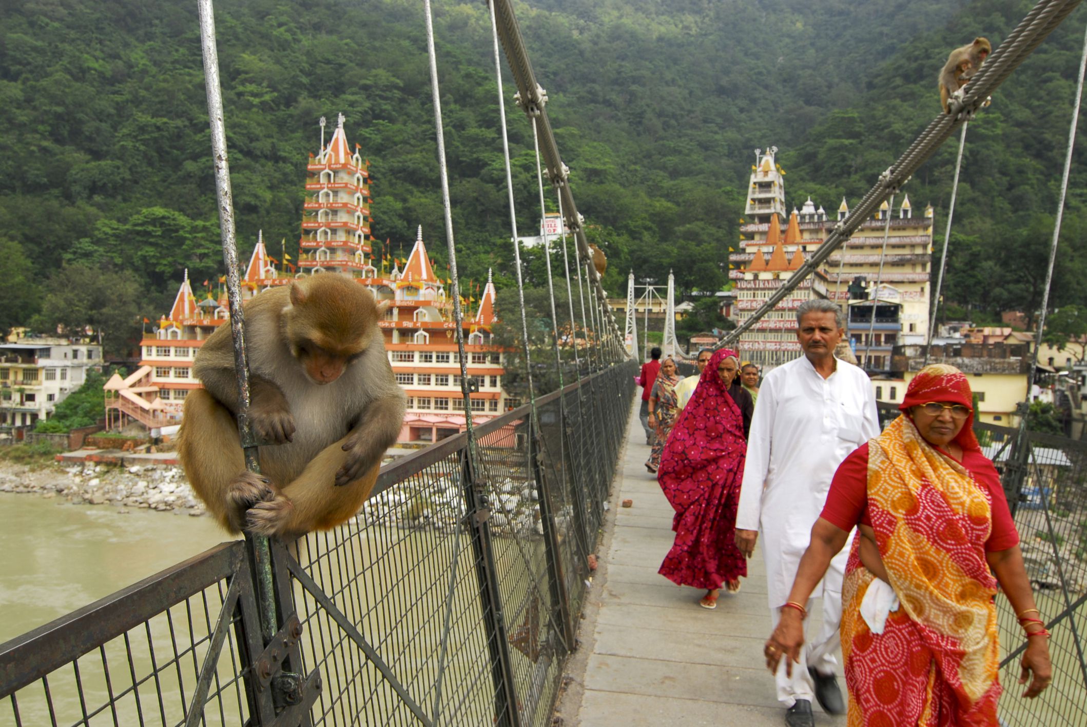 Rishikesh India: What to Know Before You Go