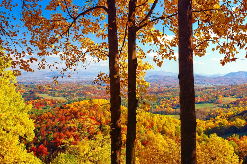 Fall Foliage Peak Periods in the Southeast